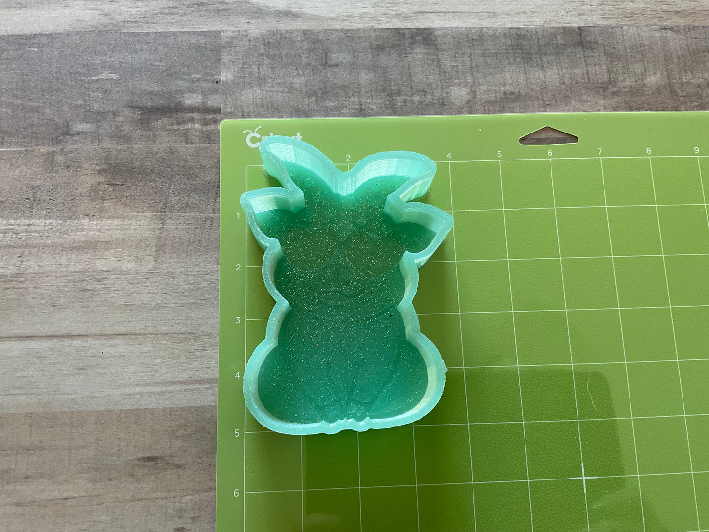 Animal Freshie Molds