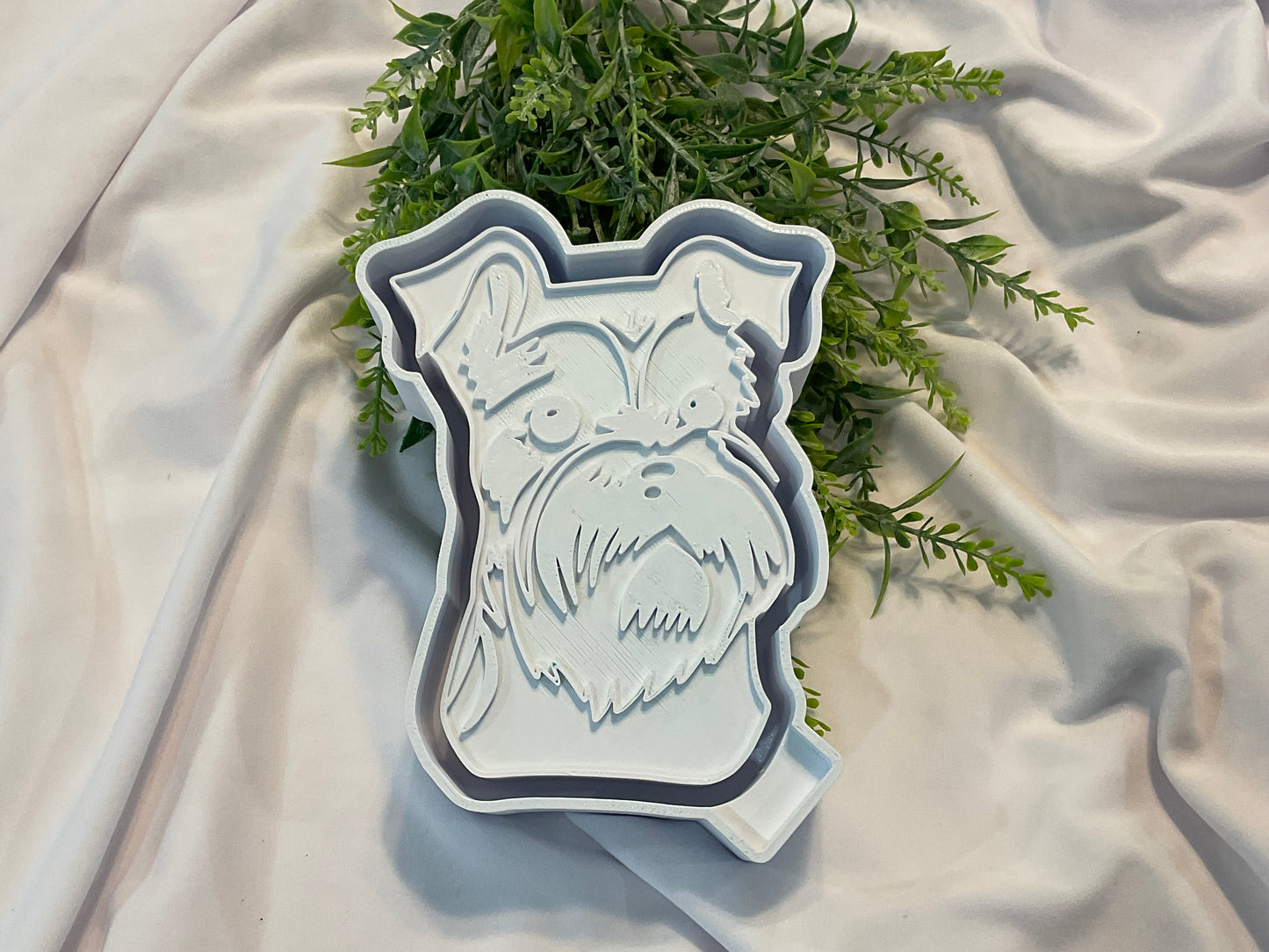Schnauzer pups