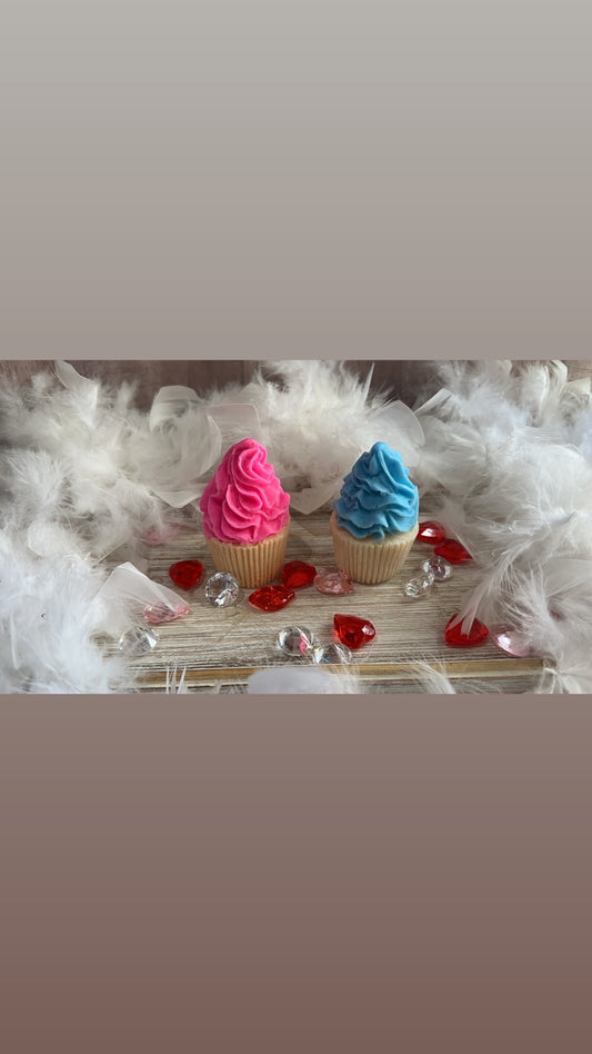 Cupcake Delight